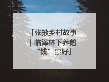 张掖乡村故事｜临泽林下养鹅“钱”景好