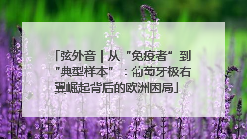 弦外音｜从“免疫者”到“典型样本”：葡萄牙极右翼崛起背后的欧洲困局