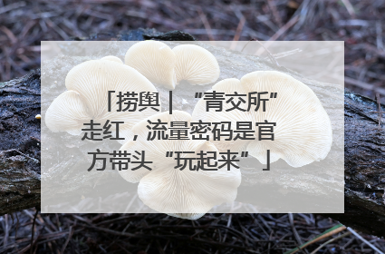捞舆｜“青交所”走红，流量密码是官方带头“玩起来”