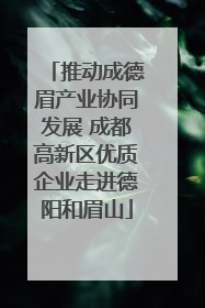 推动成德眉产业协同发展 成都高新区优质企业走进德阳和眉山