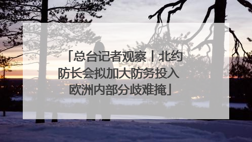 总台记者观察丨北约防长会拟加大防务投入 欧洲内部分歧难掩