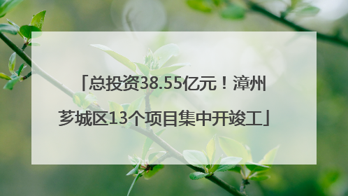 总投资38.55亿元！漳州芗城区13个项目集中开竣工