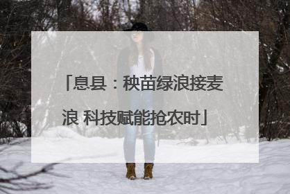 息县：秧苗绿浪接麦浪 科技赋能抢农时