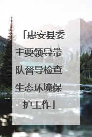 惠安县委主要领导带队督导检查生态环境保护工作