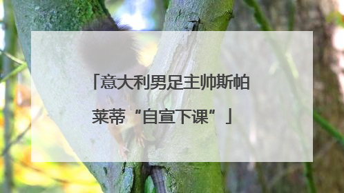 意大利男足主帅斯帕莱蒂“自宣下课”
