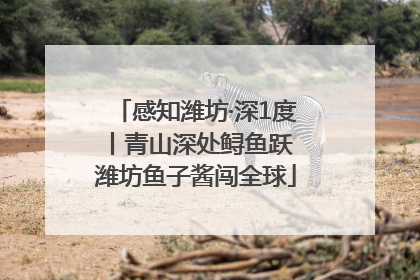 感知潍坊·深1度丨青山深处鲟鱼跃 潍坊鱼子酱闯全球