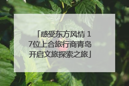 感受东方风情 17位上合旅行商青岛开启文旅探索之旅