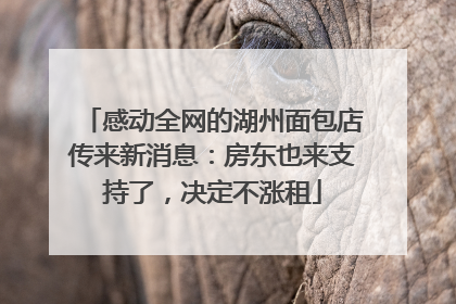 感动全网的湖州面包店传来新消息：房东也来支持了，决定不涨租
