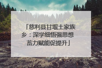 慈利县甘堰土家族乡：深学细悟强思想 蓄力赋能促提升