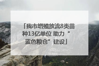 我市增殖放流8类苗种13亿单位 助力“蓝色粮仓”建设