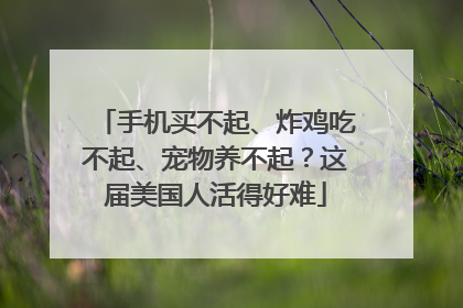 手机买不起、炸鸡吃不起、宠物养不起？这届美国人活得好难