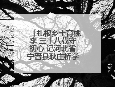 扎根乡土育桃李 三十八载守初心 记河北省宁晋县耿庄桥学区教师张志涛