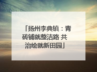 扬州李典镇：青砖铺就整洁路 共治绘就新田园