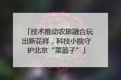 技术推动农旅融合玩出新花样，科技小院守护北京“菜篮子”