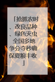 抢抓农时、改良品种、绿色灭虫 全国多地争分夺秒确保夏粮丰收