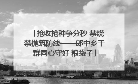 抢收抢种争分秒 禁烧禁抛筑防线——郎中乡干群同心守好 粮袋子