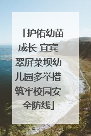 护佑幼苗成长 宜宾翠屏菜坝幼儿园多举措筑牢校园安全防线