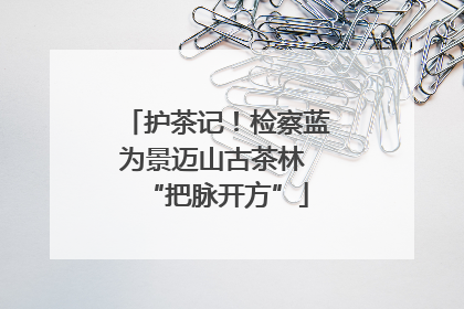 护茶记！检察蓝为景迈山古茶林 “把脉开方”