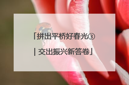 拼出平桥好春光③｜交出振兴新答卷