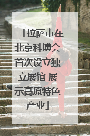 拉萨市在北京科博会首次设立独立展馆 展示高原特色产业
