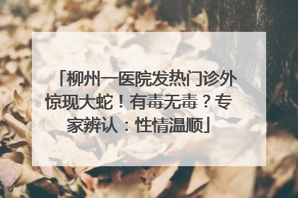 柳州一医院发热门诊外惊现大蛇！有毒无毒？专家辨认：性情温顺