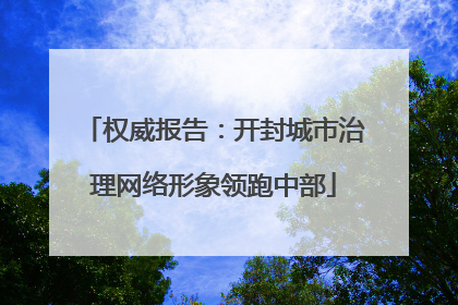 权威报告：开封城市治理网络形象领跑中部