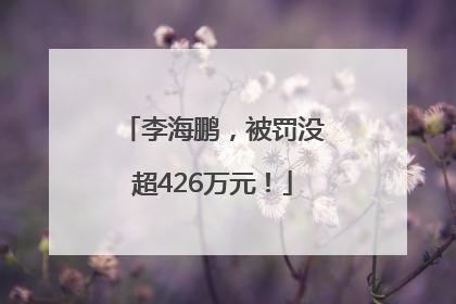 李海鹏，被罚没超426万元！