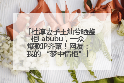 杜淳妻子王灿兮晒整柜Labubu，一众爆款IP齐聚！网友：我的 “梦中情柜”
