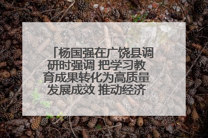 杨国强在广饶县调研时强调 把学习教育成果转化为高质量发展成效 推动经济稳健向好进中提质