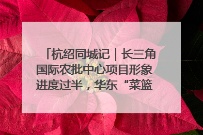 杭绍同城记｜长三角国际农批中心项目形象进度过半，华东“菜篮子”建设加码提速！