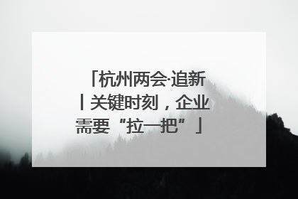 杭州两会·追新丨关键时刻，企业需要“拉一把”
