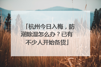杭州今日入梅，防潮除湿怎么办？已有不少人开始备货