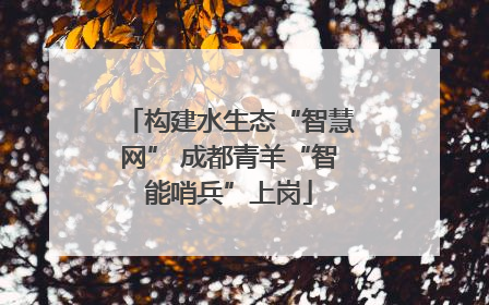 构建水生态“智慧网” 成都青羊“智能哨兵”上岗