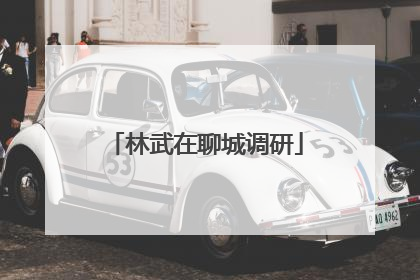 林武在聊城调研