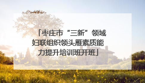 枣庄市“三新”领域妇联组织领头雁素质能力提升培训班开班