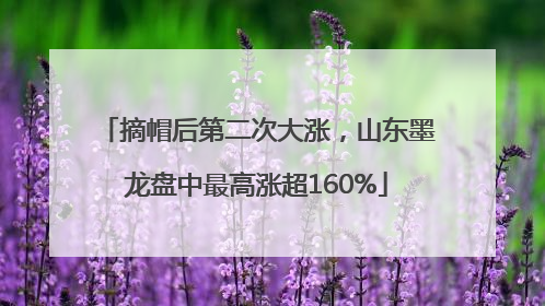 摘帽后第二次大涨，山东墨龙盘中最高涨超160%