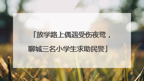 放学路上偶遇受伤夜鹭，聊城三名小学生求助民警