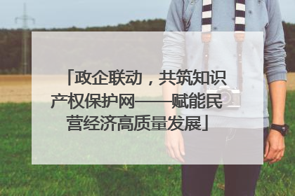 政企联动，共筑知识产权保护网——赋能民营经济高质量发展