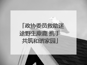 政协委员救助迷途野生麋鹿 携手共筑和谐家园
