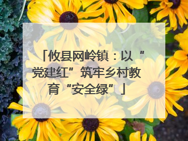 攸县网岭镇：以“党建红”筑牢乡村教育“安全绿”