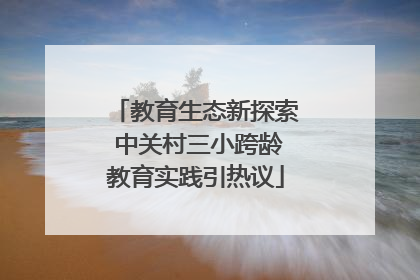 教育生态新探索 中关村三小跨龄教育实践引热议