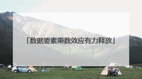 数据要素乘数效应有力释放