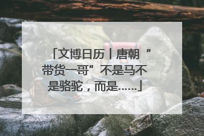 文博日历丨唐朝“带货一哥”不是马不是骆驼，而是……