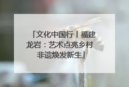 文化中国行丨福建龙岩：艺术点亮乡村 非遗焕发新生