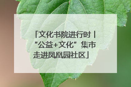 文化书院进行时丨“公益+文化”集市走进凤凰园社区