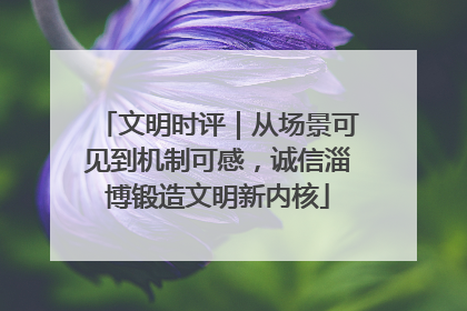 文明时评｜从场景可见到机制可感，诚信淄博锻造文明新内核