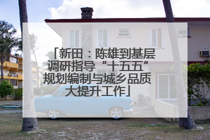 新田：陈雄到基层调研指导“十五五”规划编制与城乡品质大提升工作