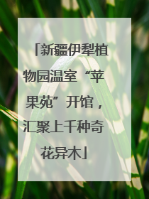 新疆伊犁植物园温室“苹果苑”开馆，汇聚上千种奇花异木