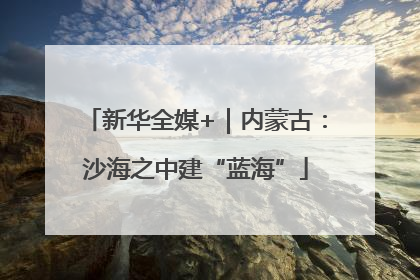 新华全媒+｜内蒙古：沙海之中建“蓝海”