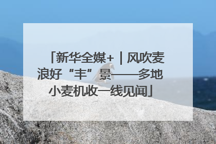 新华全媒+｜风吹麦浪好“丰”景——多地小麦机收一线见闻